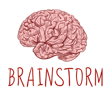 BRAINSTORM. Handwritten letters and outline drawing of human brain. Colored sketchのイラスト素材