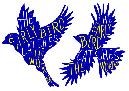 The early bird catches the worm. Hand written proverb, VECTOR bird. Blue bird, yellow and white words.のイラスト素材