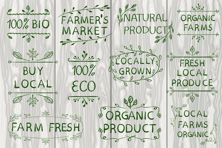 Set of VECTOR typographic elements on light wooden background. Farmers market, farm fresh eco food on white background. White lines.のイラスト素材