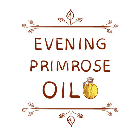 Evening primrose oil and hand-sketched flower. Hand drawn typographical element. Hand written VECTOR letters.のイラスト素材