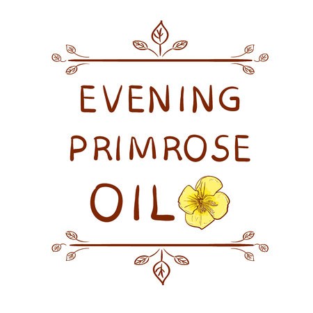 'Evening primrose oil' and sketched flower. Hand drawn typographical element. Handwritten VECTOR letters. Vignette on white.のイラスト素材