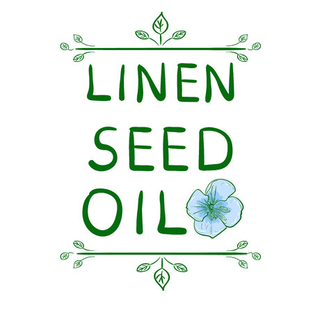 'Linen seed oil' and sketched flower. Hand drawn typographical element. Handwritten VECTOR letters. Vignette on white.のイラスト素材
