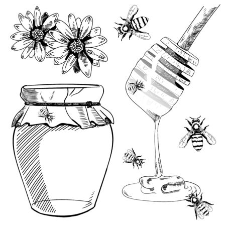 Set of sketches. VECTOR illustration. HONEY. Black drawings isolated on white.のイラスト素材