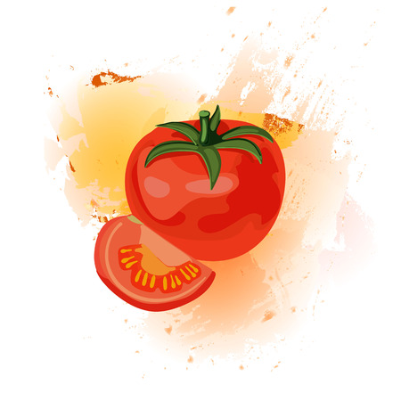 Tomato. VECTOR illustration on brown paint splash.のイラスト素材