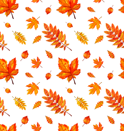 Seamless pattern with autumn orange watercolor leaves.の写真素材