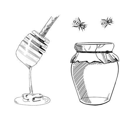 VECTOR set of Honey Sketches, Hand Draw Illustration, Black Line Drawings.のイラスト素材