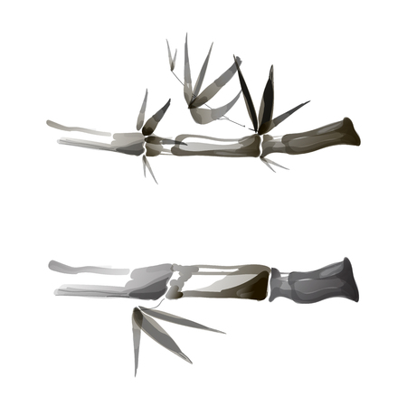 Cane, Bamboo VECTOR Illustation, Chinese Ink Painting Style, Design Elements.のイラスト素材