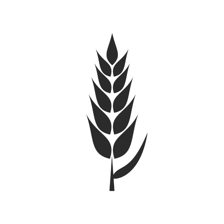 Wheat Plant VECTOR Flat Icon Isolated on White Background.のイラスト素材