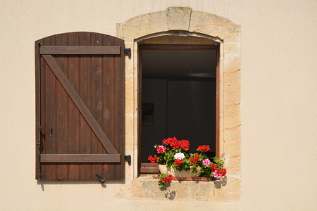 Pottet Geranium In Windowの写真素材