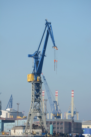 Industrial Cargo Cranes In The Harborの写真素材