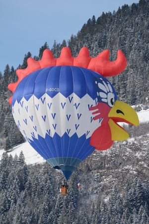 Cock Shape Balloonのeditorial素材