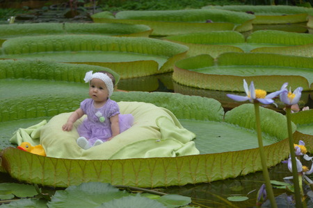 Little Girl On Super Leafのeditorial素材