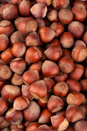 delicious hazelnuts in bulkの写真素材
