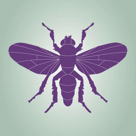 Fly silhouette