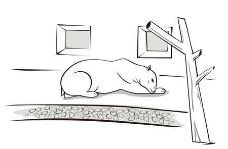 Vector illustration of a sad, polar bear in the zoo.のイラスト素材