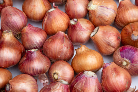 Fresh Onion Background. Full Frame shotの写真素材