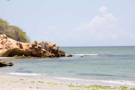 MARGARITA NEW STATE ESPARTAの写真素材