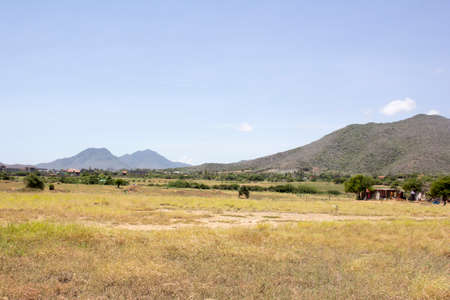 MARGARITA NEW STATE ESPARTAの写真素材