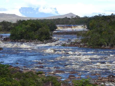 GREAT SAVANNAH VENEZUELAの写真素材