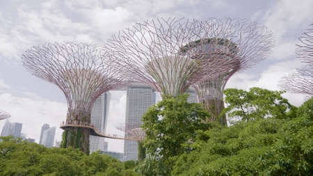 Singapore - January 20, 2020 : The Supertree Grove at Gardens by the Bay in Singapore near Marina Bay Sands hotelのeditorial素材