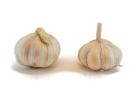 Garlic isolated on white backgroundの写真素材