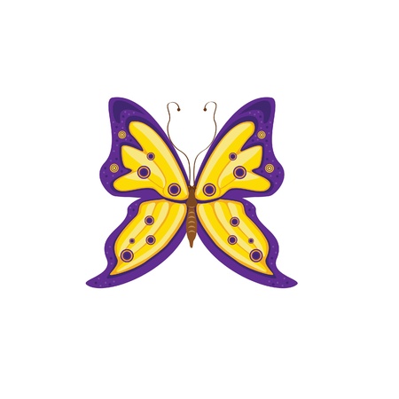 Butterfly in violet and yellow colorsのイラスト素材