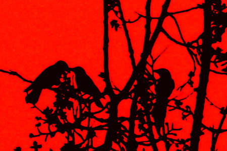 Silhouette birds kissing on the red skyの写真素材