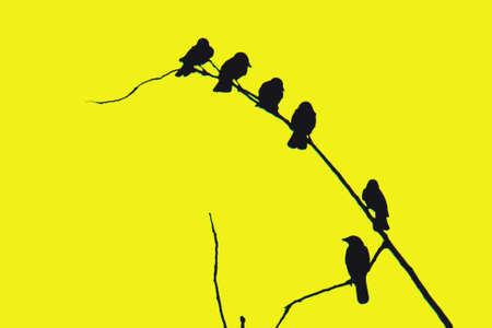 Birds on a branchの写真素材