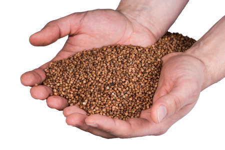 hand with heap of buckwheat isolated on white backgroundの写真素材