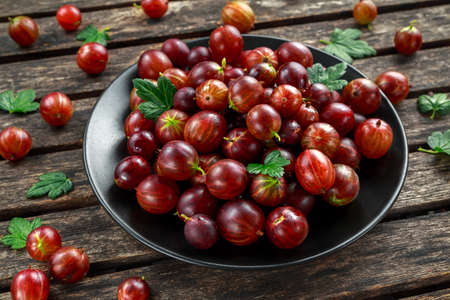 Fresh Juicy gooseberry in a black plate on wooden rustic tableの写真素材