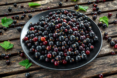 Fresh Juicy black currants in a plate on wooden rustic tableの写真素材