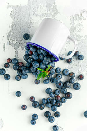 Freshly picked Blueberries in vintage mug with green leaves on topの写真素材