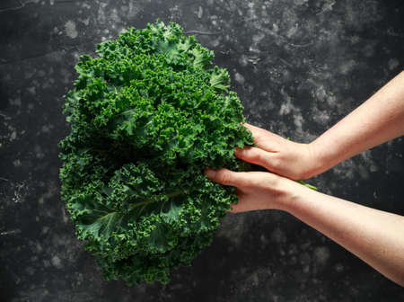 Raw organic freshly picked green curly kale on black table.の写真素材