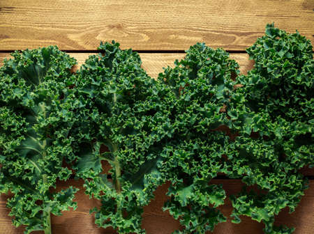 Raw organic freshly picked green curly kale on wooden table.の写真素材