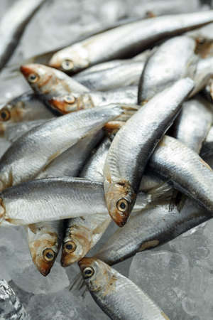 Fresh raw sprats, organic fish on iceの写真素材