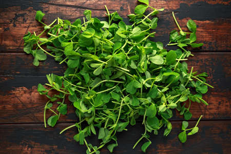 Sweet raw Green Pea Shoots on rustic wooden backgroundの写真素材