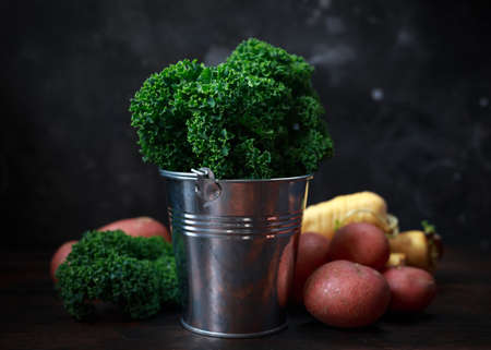 Raw Kale green Cabbage in metal bucket, potatoes, parsnip vegetables on windows light. Superfoodの写真素材