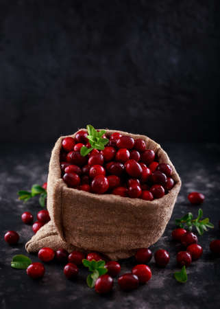 Cranberries in Burlap bag. Freshly picked, organic, rustic style.の写真素材