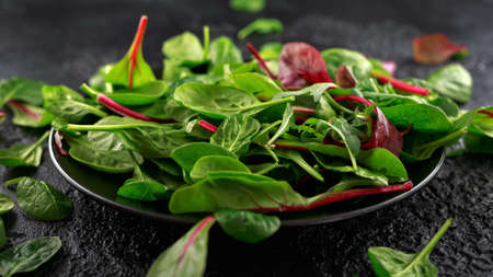Salad mix with rucola, spinach, radicchio and lambs lettuce in a black plate. healthy green food