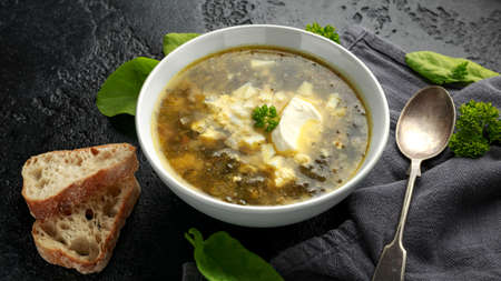 Traditional russian Sorrel soup with sour cream and hard boiled egg.