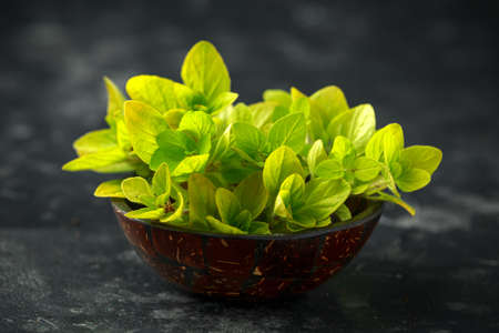 Fresh oregano in bowl on black rustic tableの写真素材
