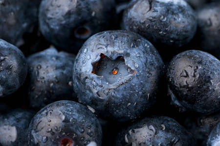 Fresh Blueberries with drops of water. Macro photoの写真素材