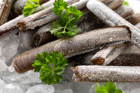 Frozen raw razor clam shellfish on ice, healthy pescatarian sea food conceptの写真素材
