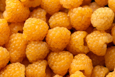 Organic Yellow Raspberries in wooden bowl. Ripe juicy fresh berry fruit.. Healthy food.