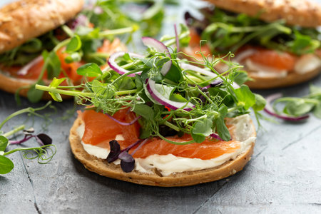 Smoked salmon and soft cheese seeded bagel with pea and purple reddish shoot salad and red onion. Protein packed breakfast conceptの写真素材