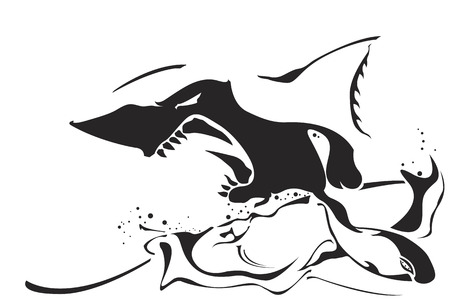 shark vector by fundementalのイラスト素材