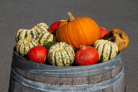 Different pumpkins on an old barrelの写真素材