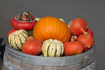Different pumpkins on an old barrelの写真素材