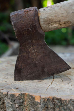 Ax in the stump, woodworking tools, chopping wood. Close up