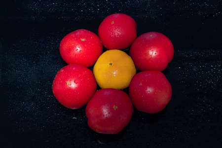 tomatoes isolated on black background. Group of tomatoes